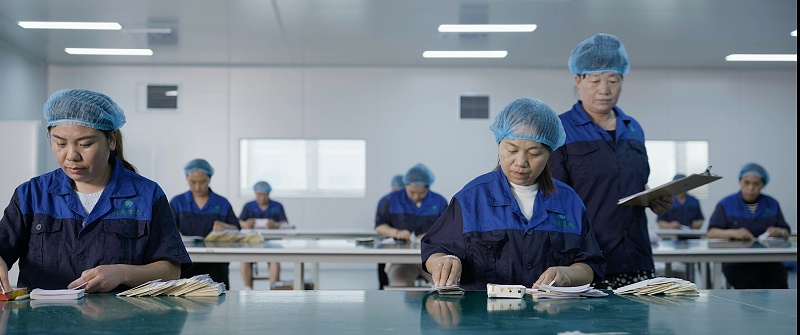 河南草本世家 膏贴代工厂