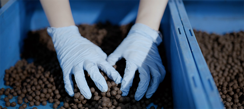 齐氏古法蜂蜜膏制作技艺荣膺非遗，河南草本世家再启新程
