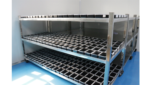 泥灸膏代加工实测：河南康迪药械代工流程，3 大核心优势直观看